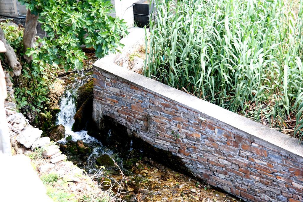 Makronas Apartments Karystos  Ngoại thất bức ảnh